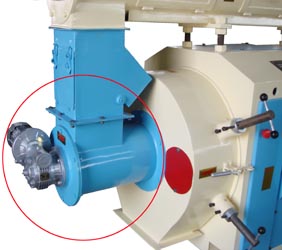 Force Feeder of Pellet Plant 