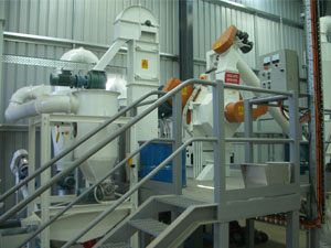 500-700kg/h wood pellet plant